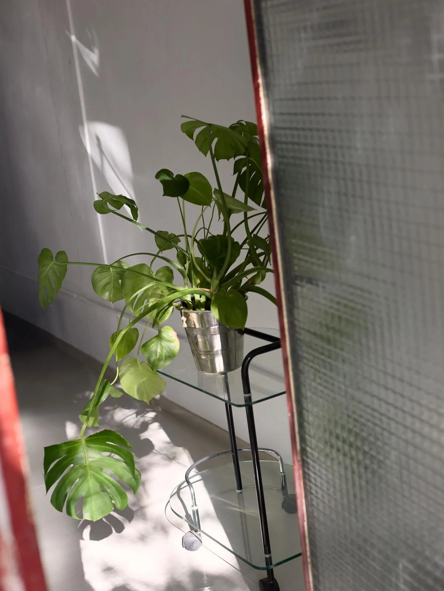 . ݁₊ ⊹ . ݁˖ OPEN-PLAN LOFT &middot; BARCELONA

120 m&sup2; natural-light studio for photoshoots, productions, events, castings, exhibitions and more.

Kitchen &middot; Bathroom &middot; AC &middot; Wi-Fi &middot; Terrace

📍 Carrer de Crist&oacute;ba