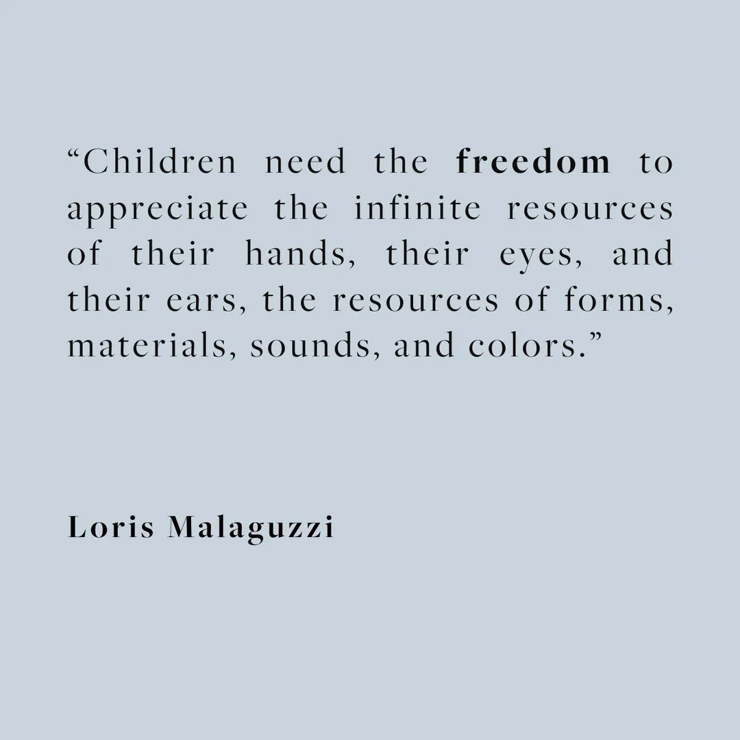 Reflection of the Day.

True freedom is the gift of agency. Every child possesses an innate curiosity that fuels their learning journey.

By cultivating a vibrant, nature-inspired environment, we can profoundly enhance their exploration and growth.