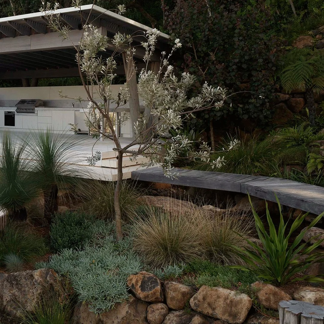 An elevated boardwalk transforms our perspective - heightening awareness, deepening immersion, and drawing us into a closer connection with nature

#gardensForLiving #CoastalHaven #TheTailoredGardener #LuxuryGardens #AustralianGardenDesign #GardenSan