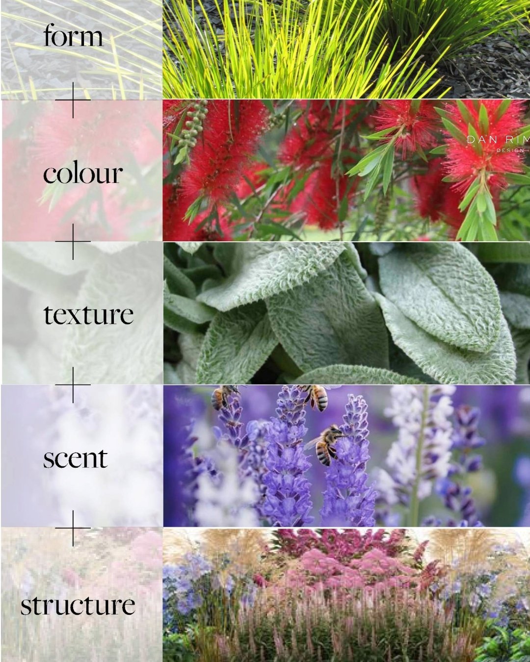 Introducing the principle of year-round interest as graphic.

This is applicable to every space we design, notably spaces for children and the elderly. 

#TheTailoredGardener #NaturePlay  #LearningThroughPlay  #PedogogicalSpaces #PlaySpaces #Children