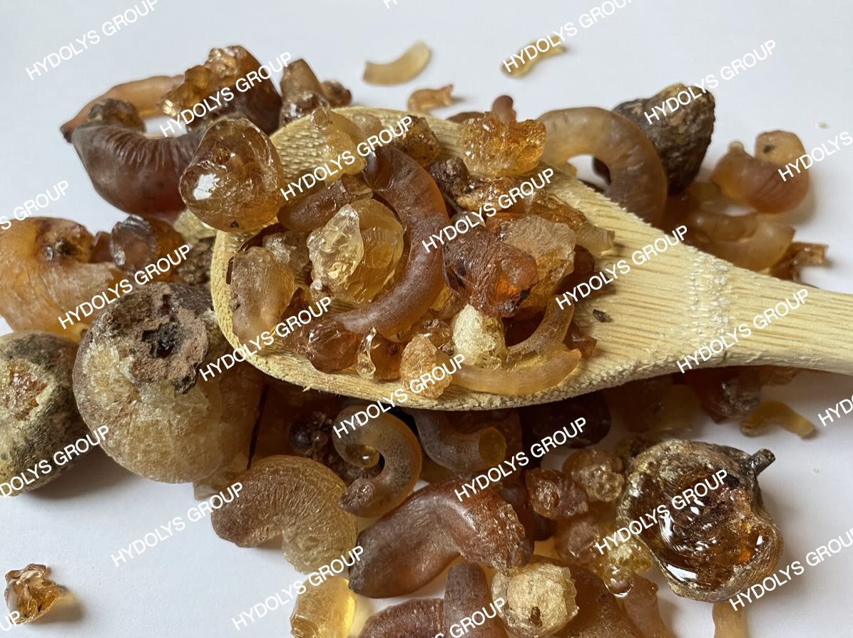 Hydolys Group - Arabic Gum 07.jpg