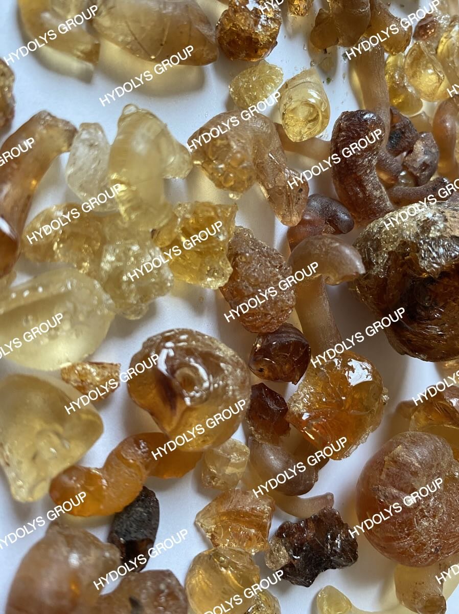 Hydolys Group - Arabic Gum 08.jpg