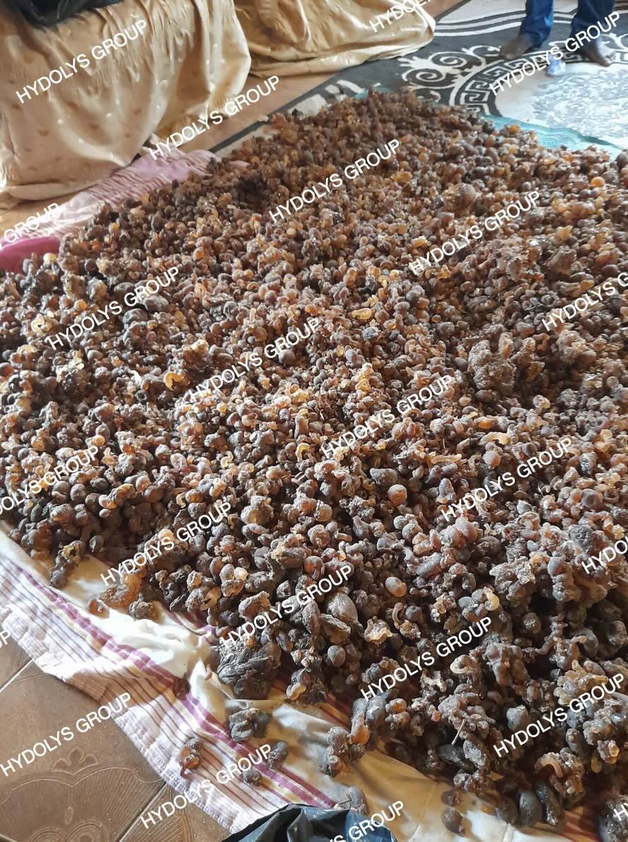 Hydolys Group - Arabic Gum 13.jpg