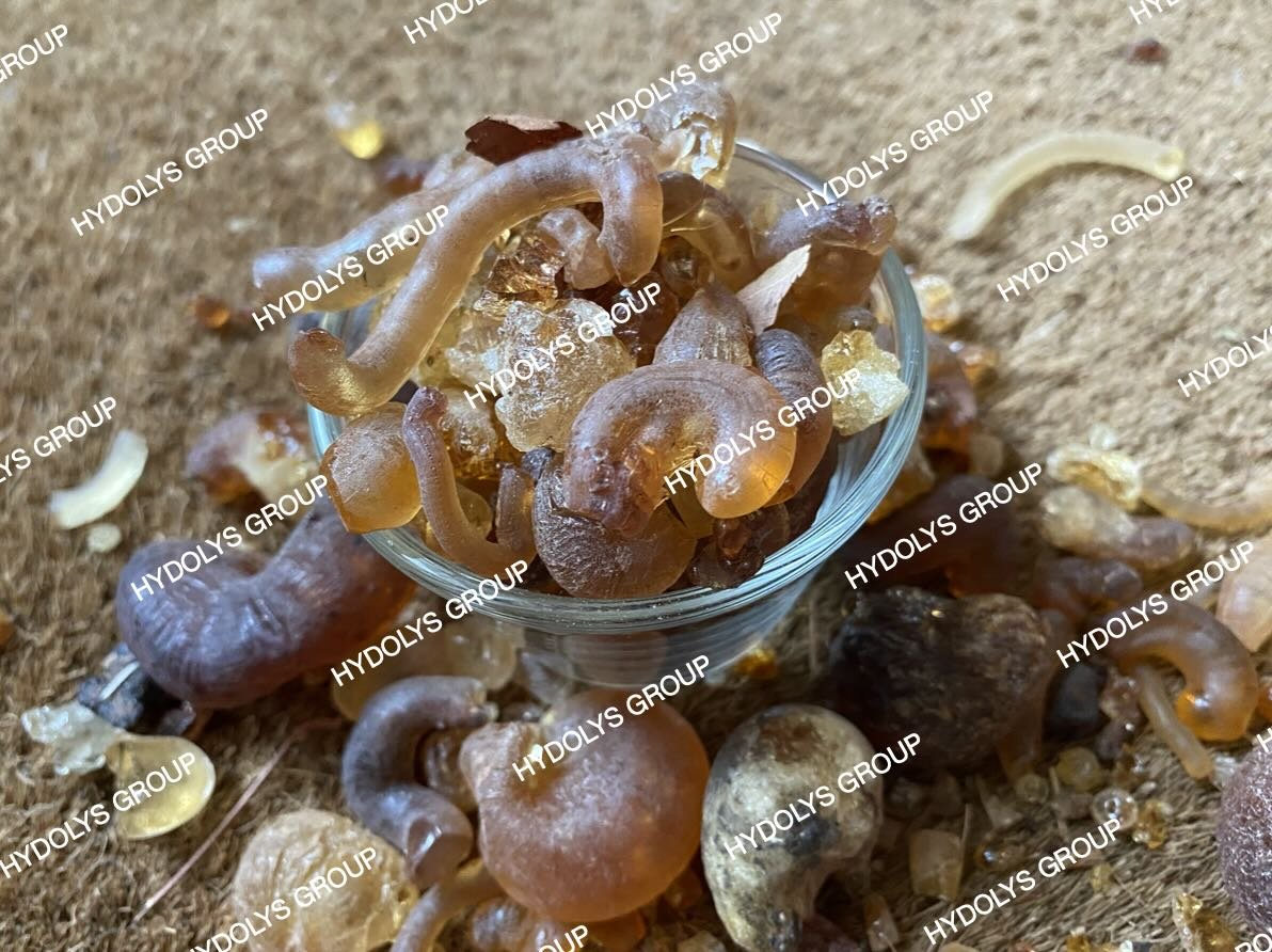 Hydolys Group - Arabic Gum 03.jpg