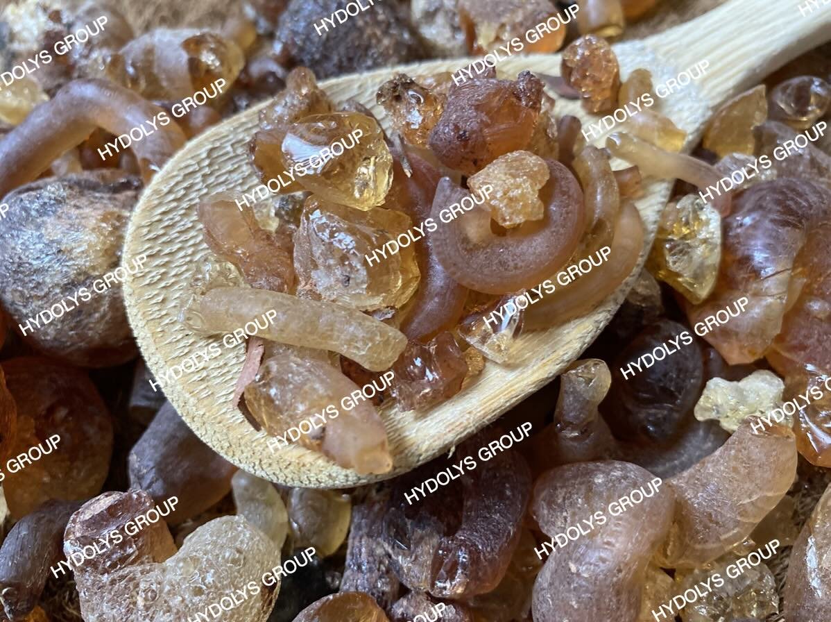 Hydolys Group - Arabic Gum 06.jpg