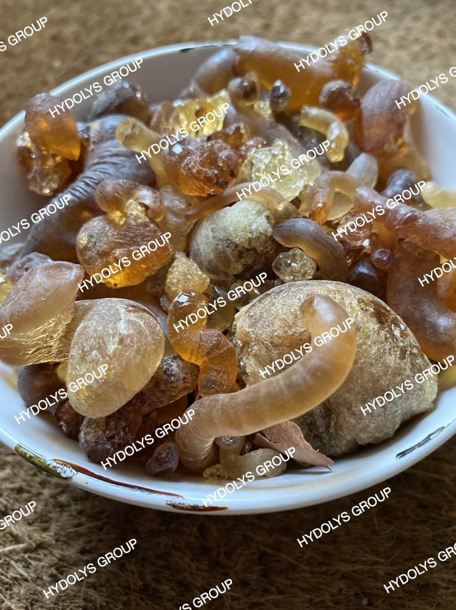 Hydolys Group - Arabic Gum 10.jpg