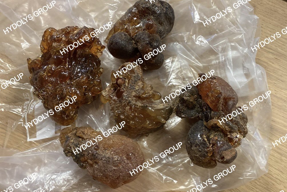 Hydolys Group - Arabic Gum 14.jpg