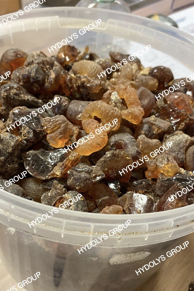 Hydolys Group - Arabic Gum 11.jpg