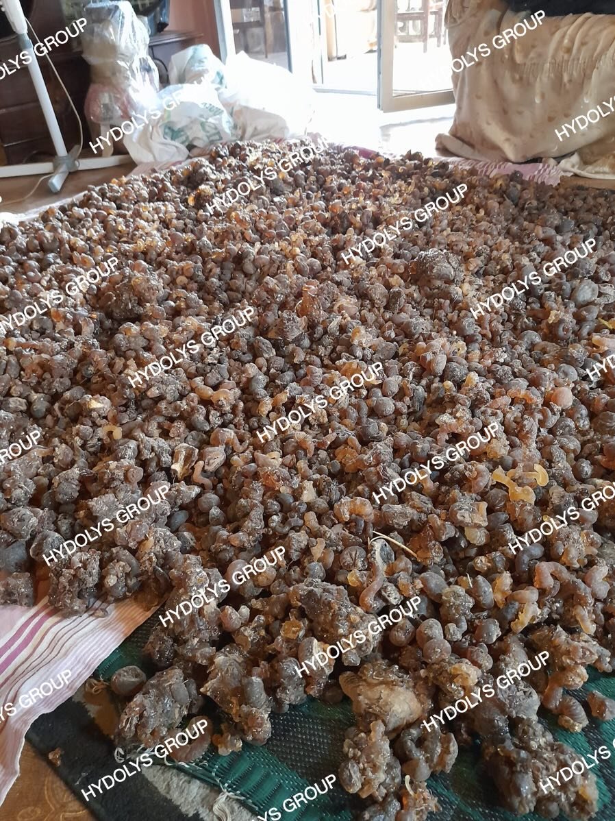 Hydolys Group - Arabic Gum 02.jpg