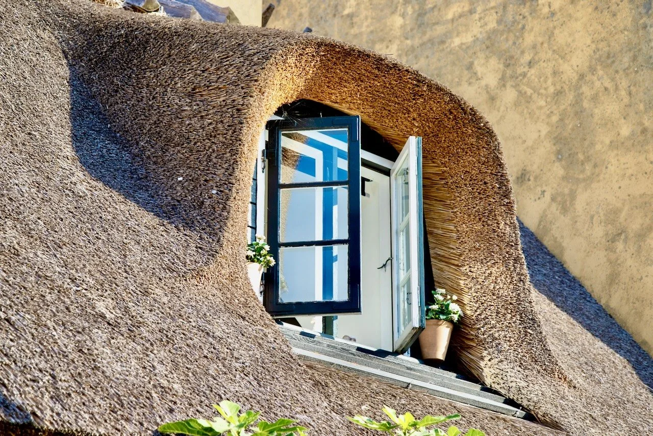 BSP Travel   - 4.JPEG