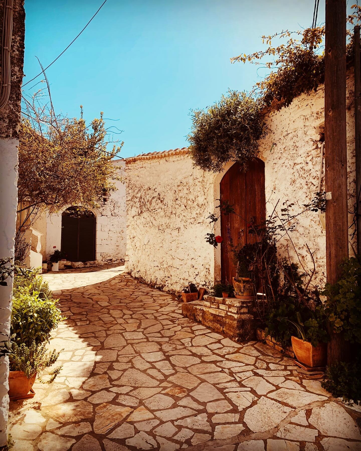 Wondering around Afionas Village!!🌺 
#aniviacarrental #corfu #corfuislandgreece #travelgram #afionas #afionasvillage #travelaroundcorfu #rentacar #rentacarcorfu #view
