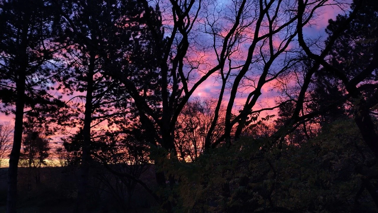 7-IMG_20251101_070256 Groß.jpeg