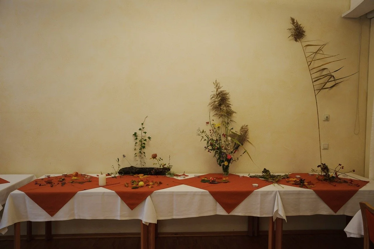 12-DSC08213 Groß.jpeg