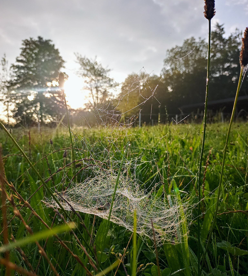 Sommertreffen in Schloß Hamborn