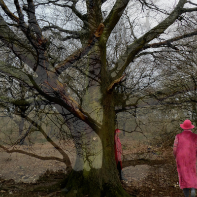 The Ecstasy Of Nature The Nature Of Ecstasy AFTERNOON POETRY WORKSHOP