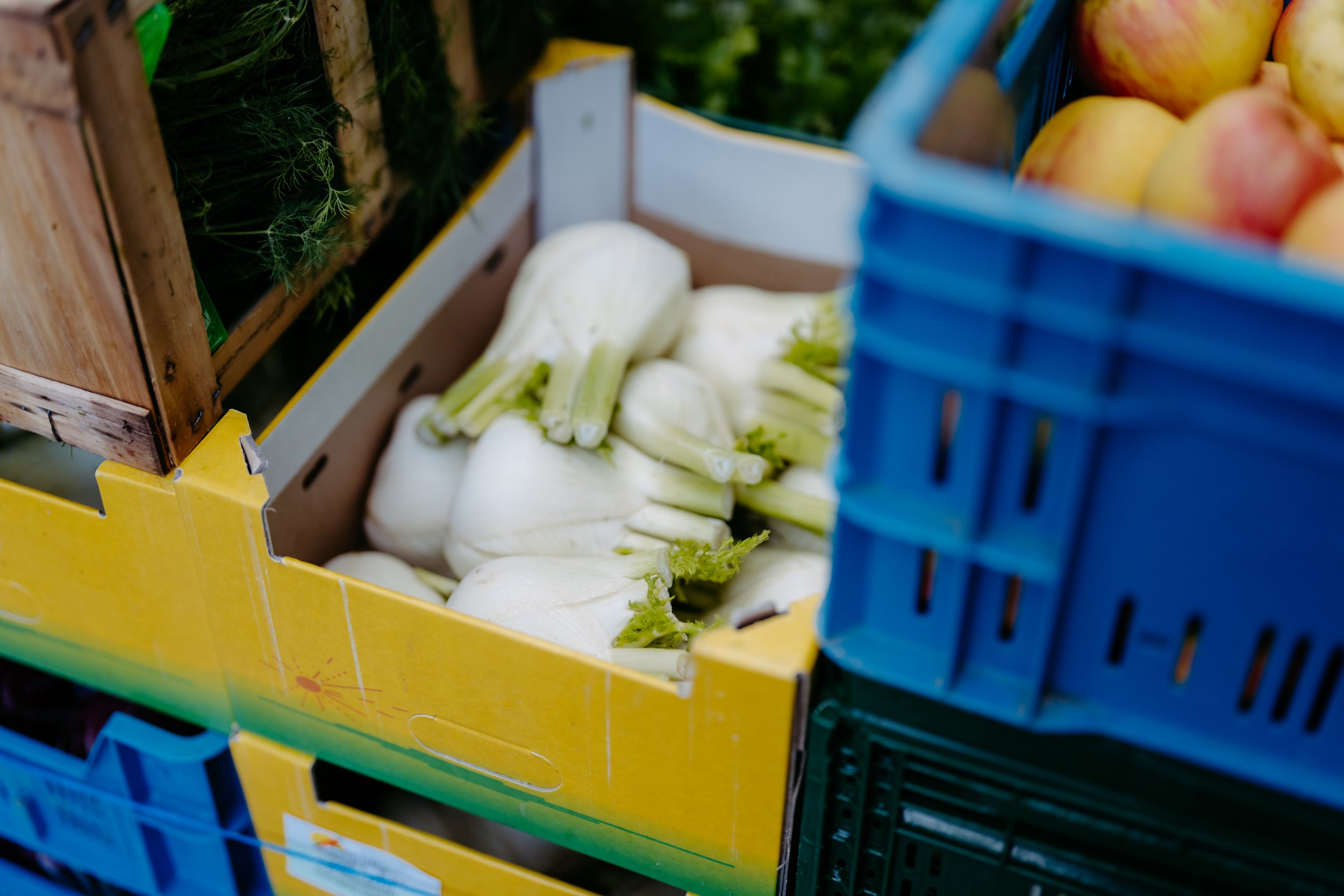 Kisten mit Fenchel und Äpfeln auf einem Marktstapel.