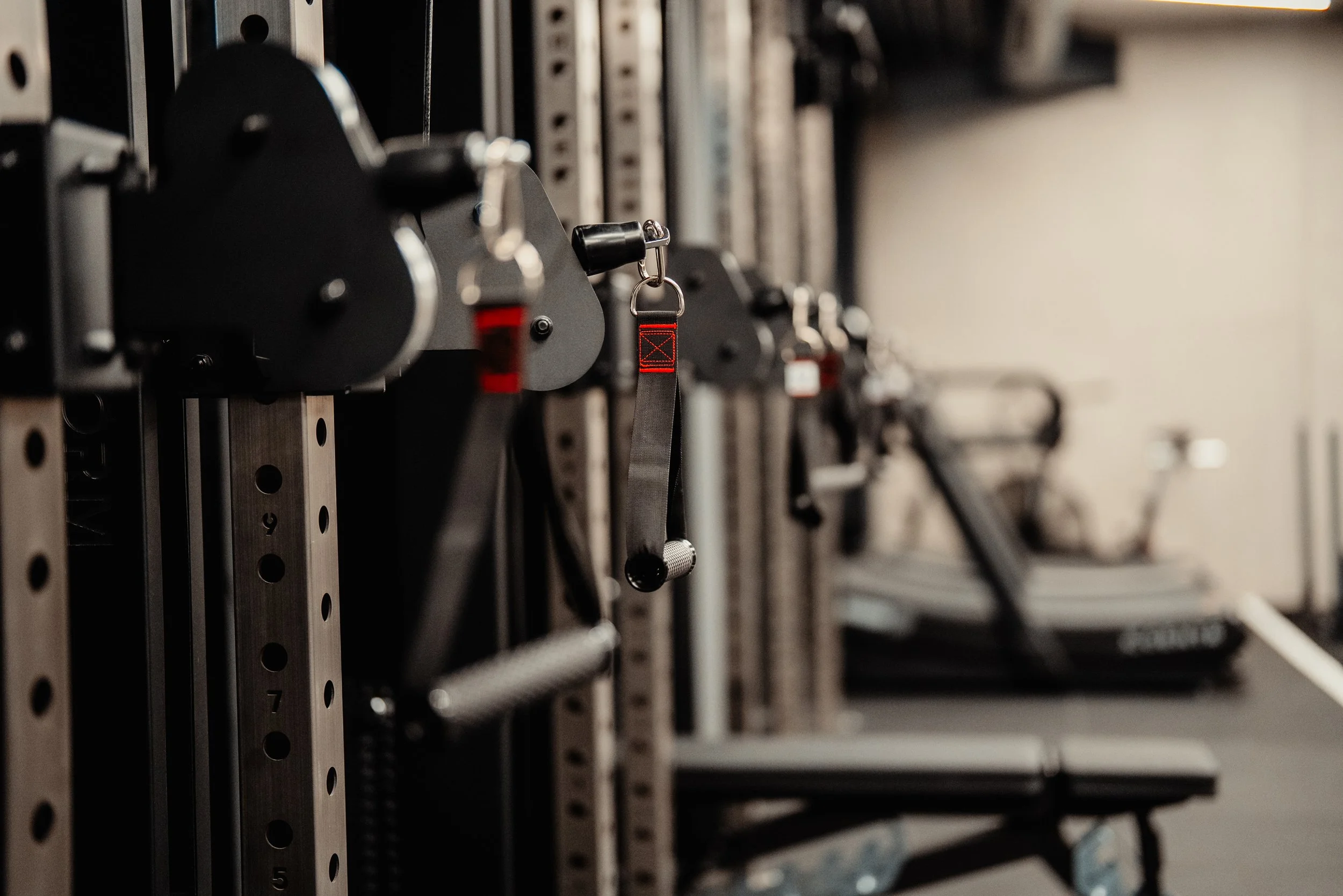 Fitnessstudio mit Hantelständer und Trainingsgeräten im Hintergrund.