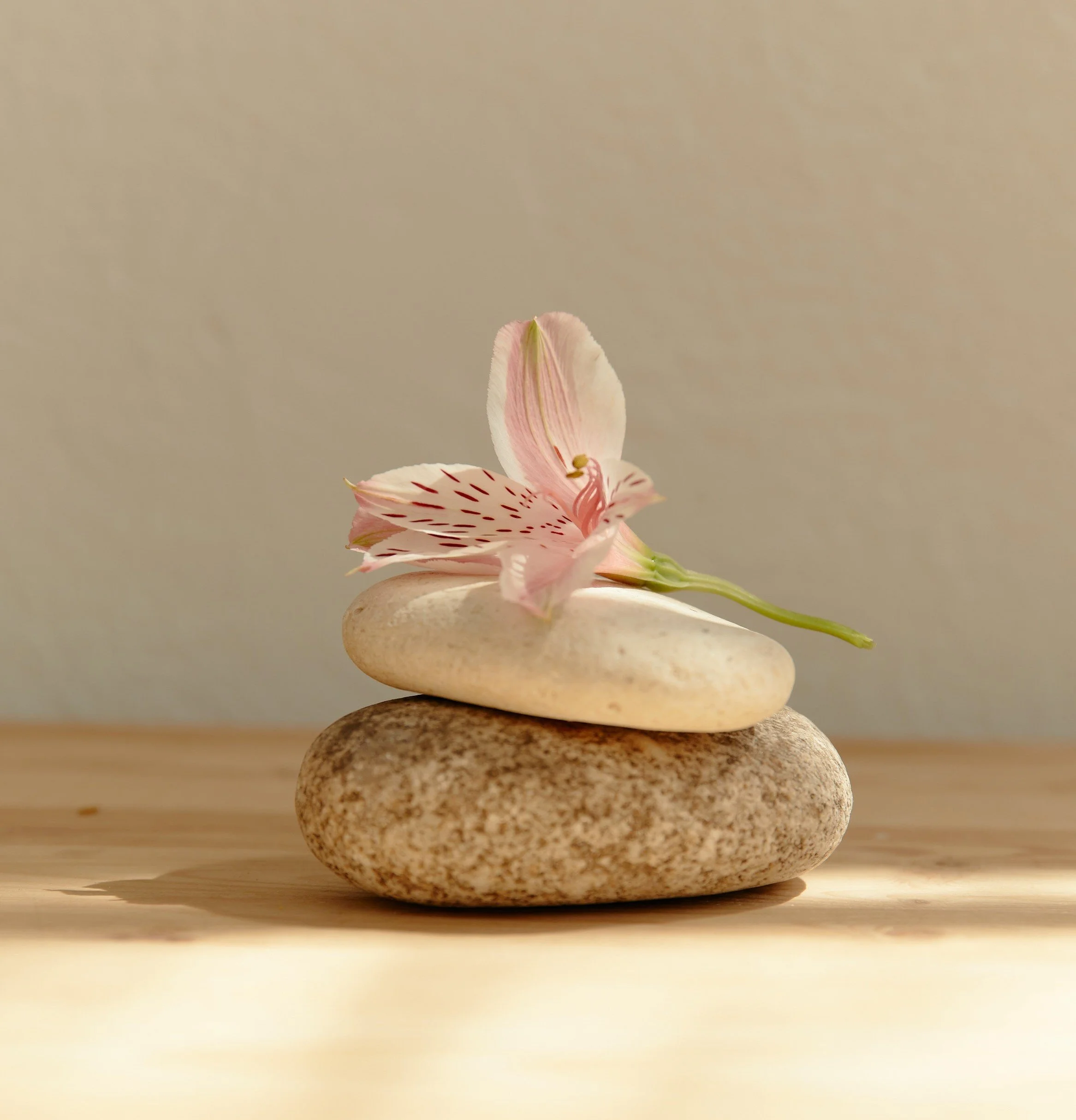 A stack of five smooth stones with a pink flower resting on top, against a plain beige background.