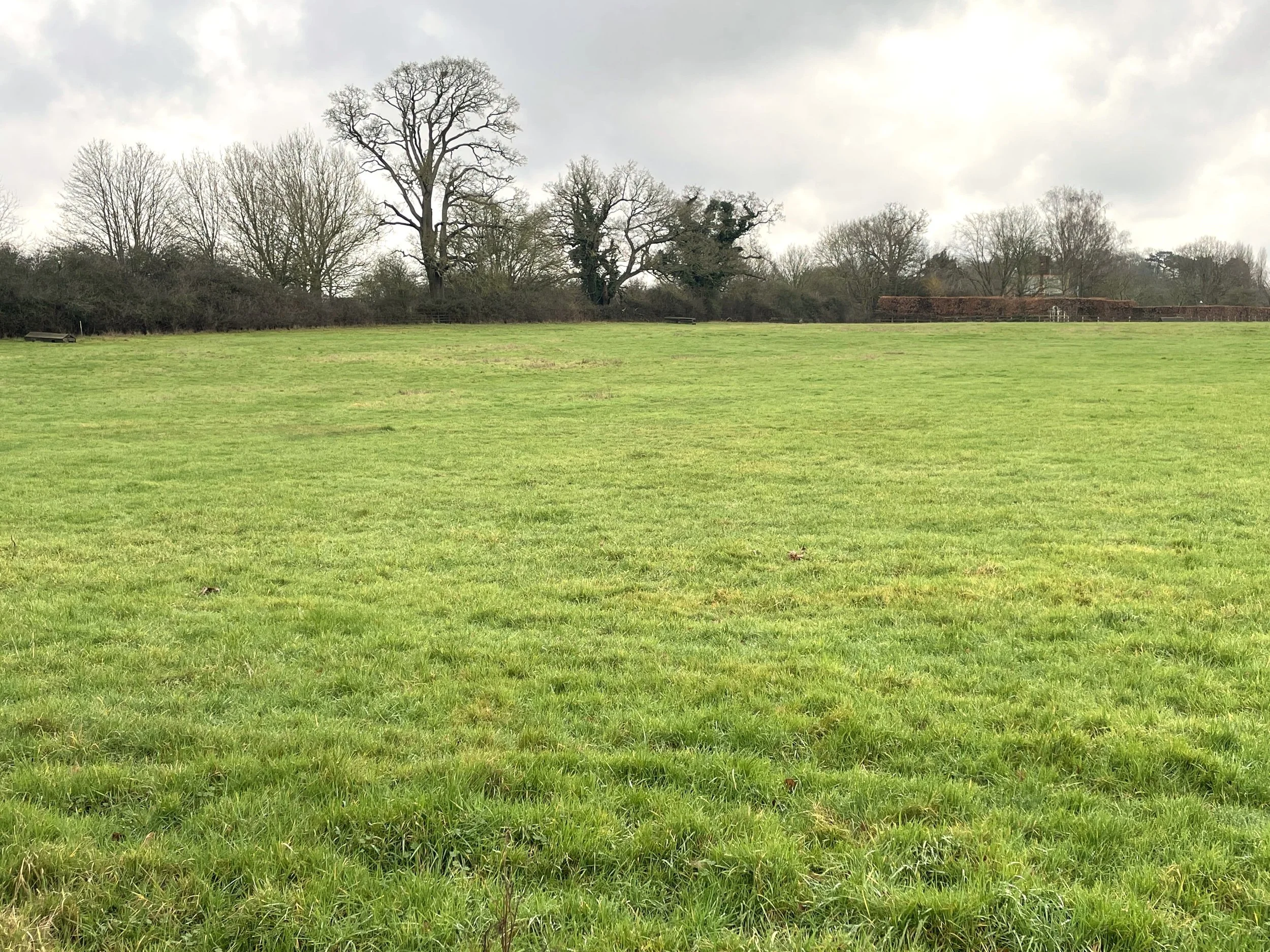 TENDER OPPORTUNITY – EQUESTRIAN GRAZING Childwickbury, St Albans
