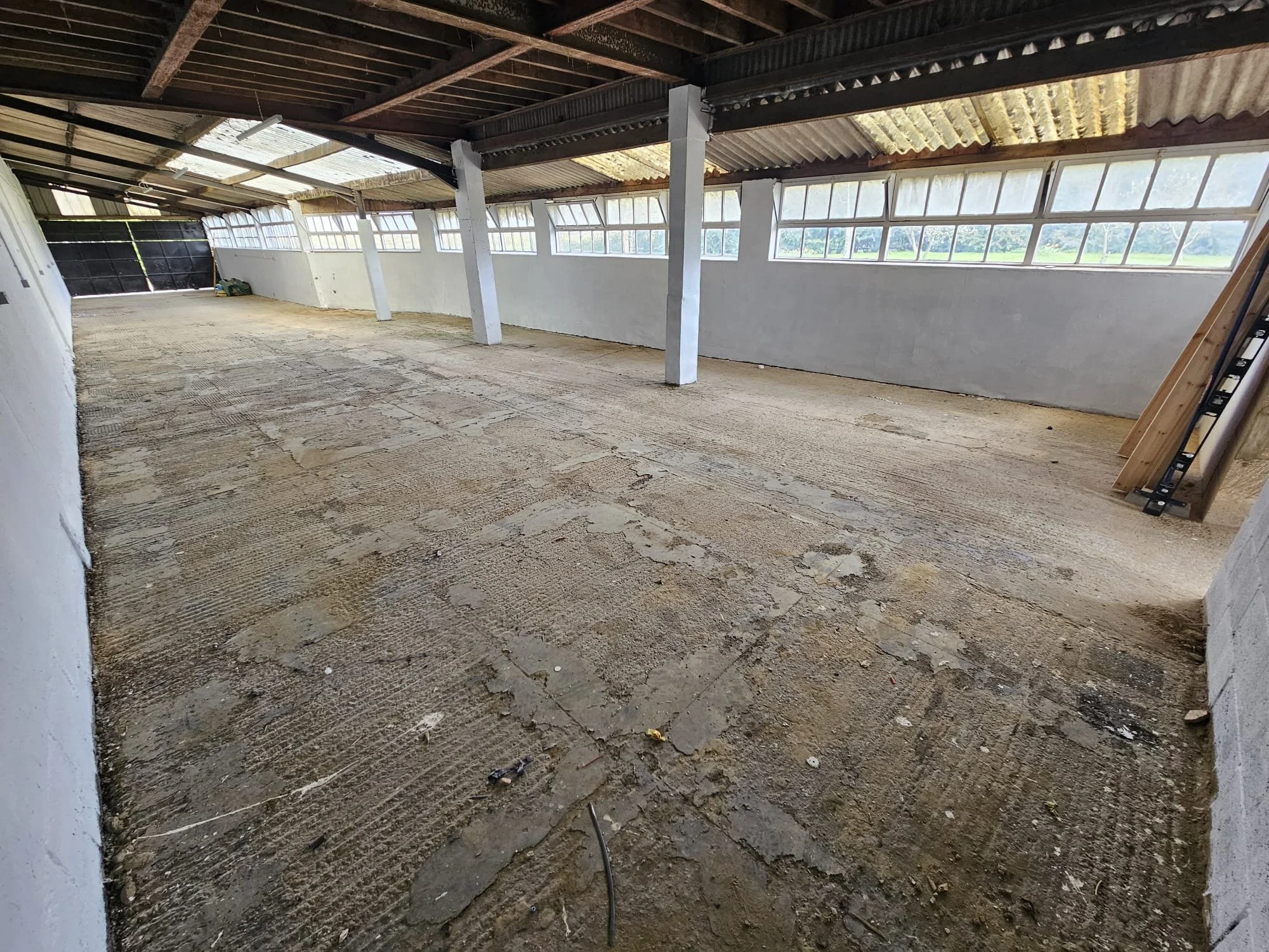 WhatsApp Image 2026-04-15 at 12.34.21 (3).jpeg