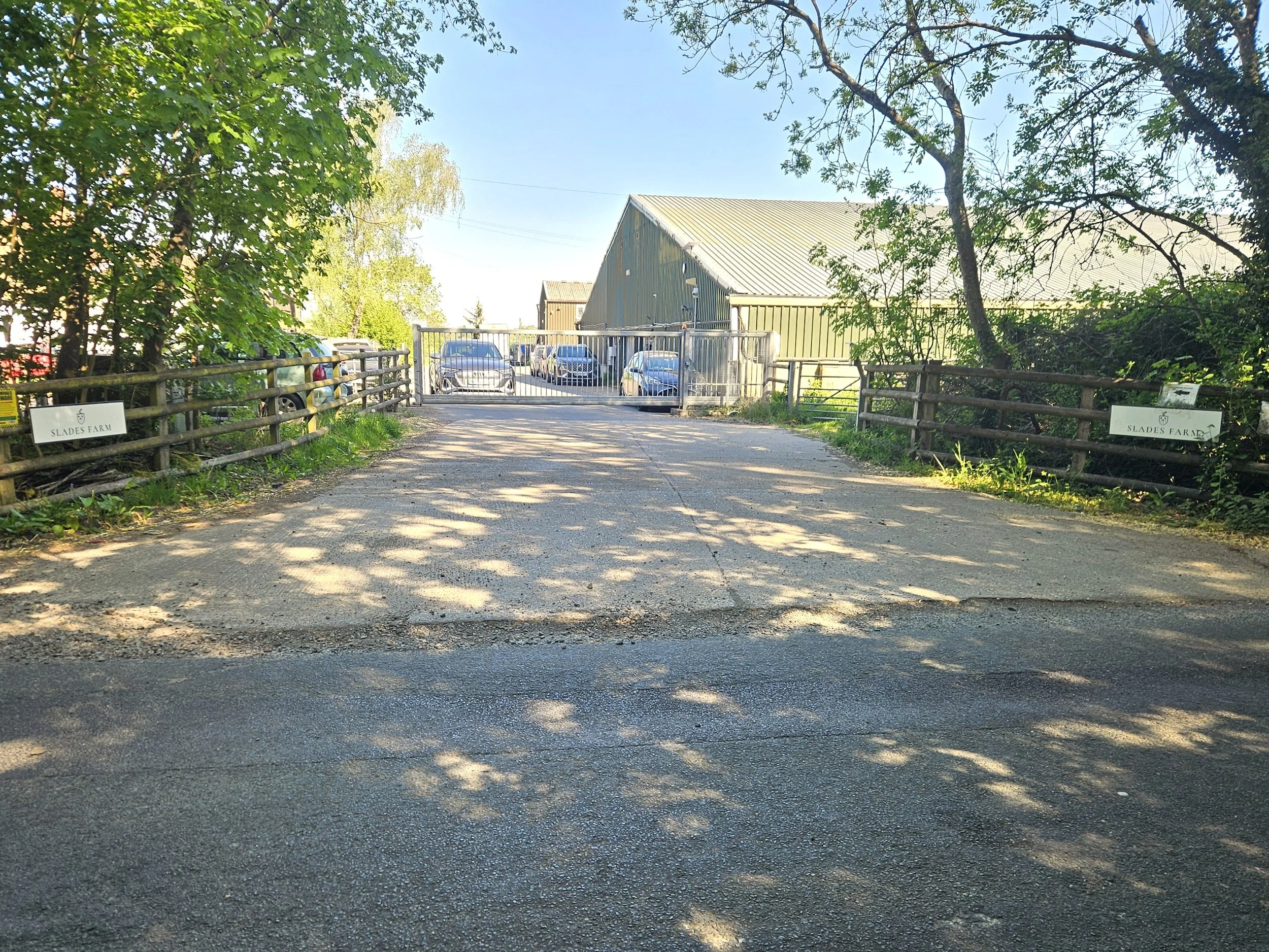 13.jpg
