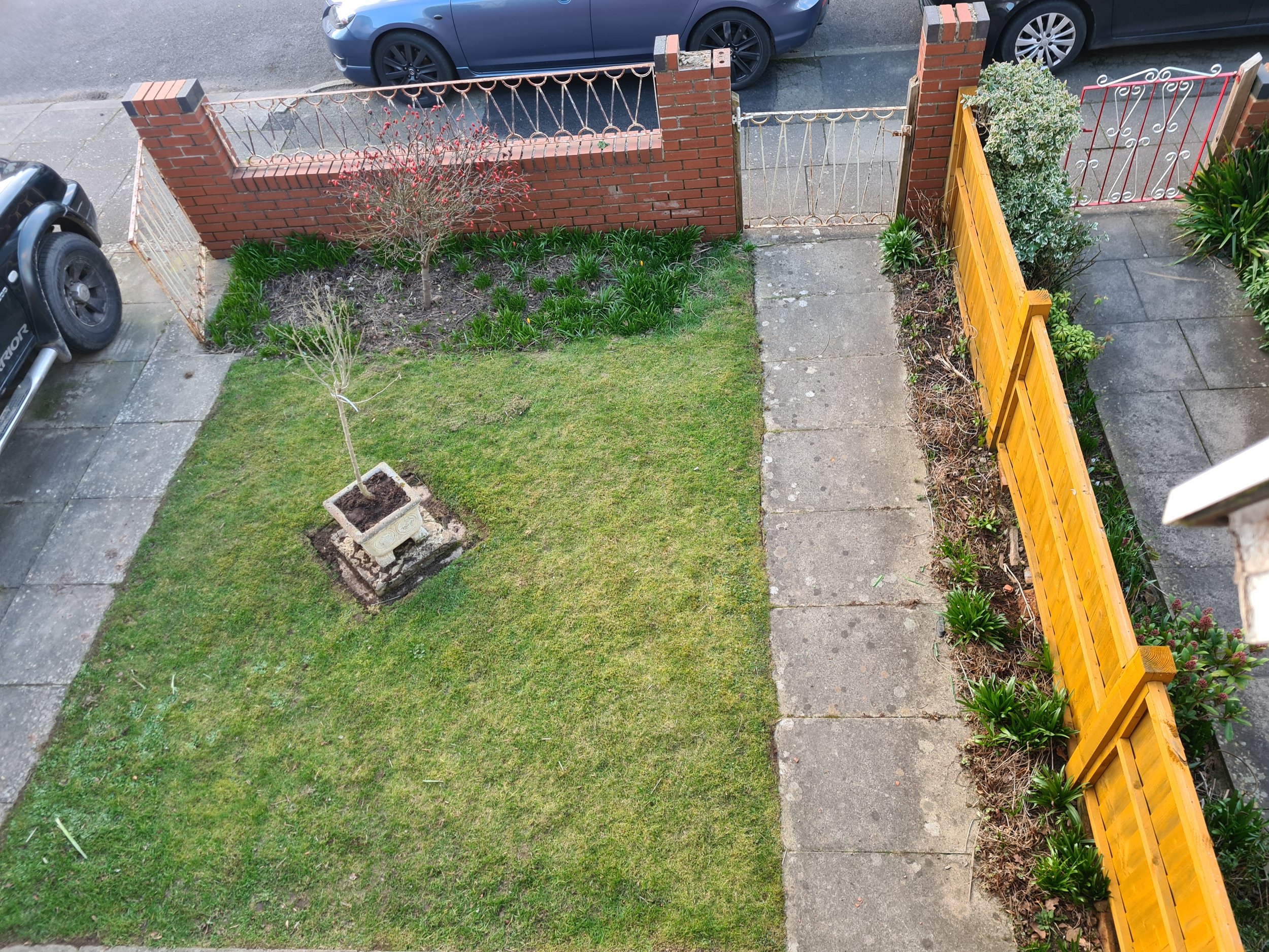 grass.jpg