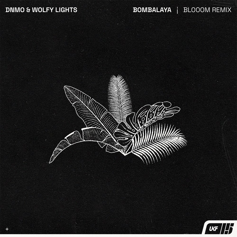 DNMO & Wolfy Lights - Bombalay (Blooom Remix) (UKF)