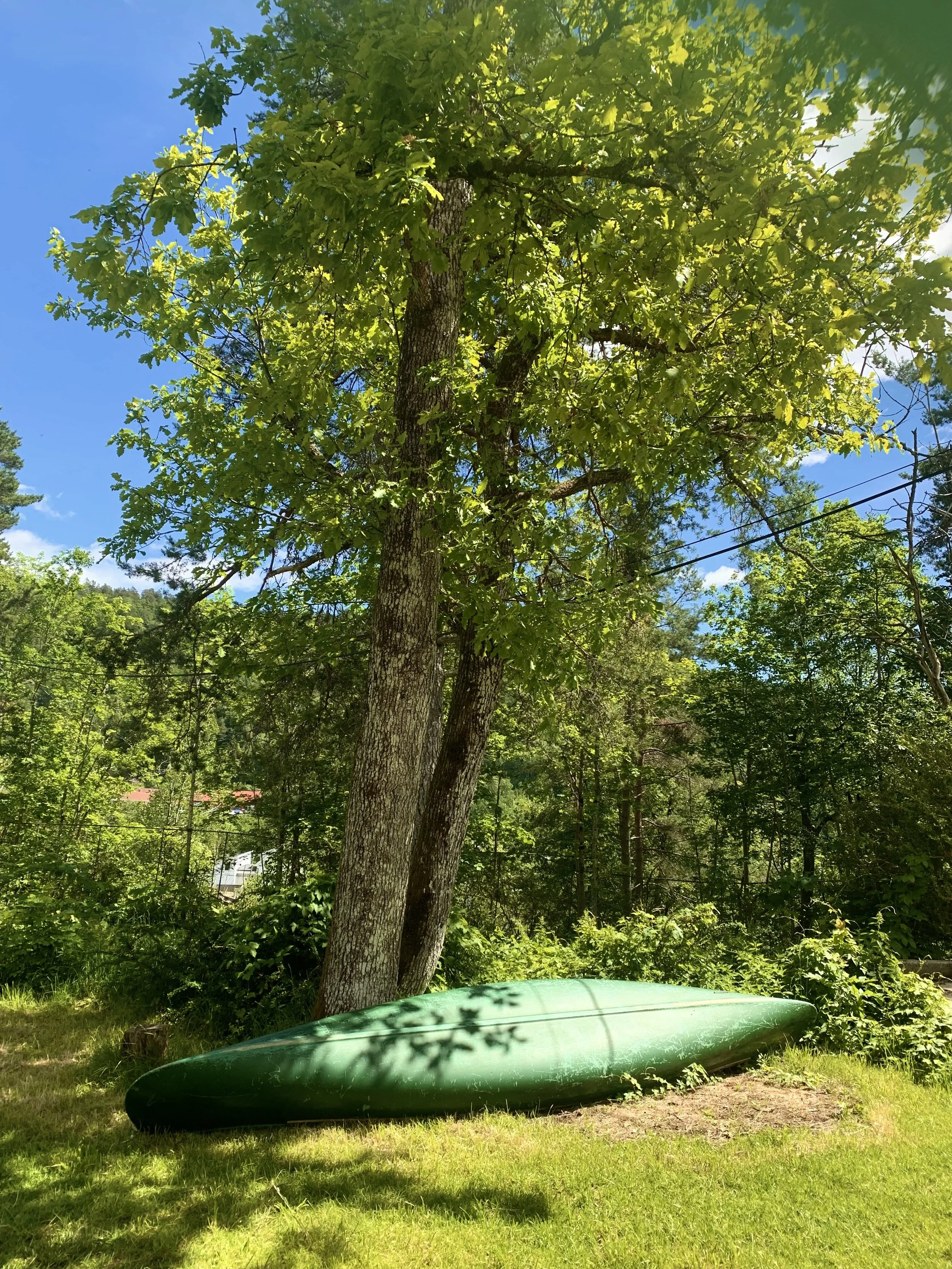 Canoe. Possible to borrow for visiters.