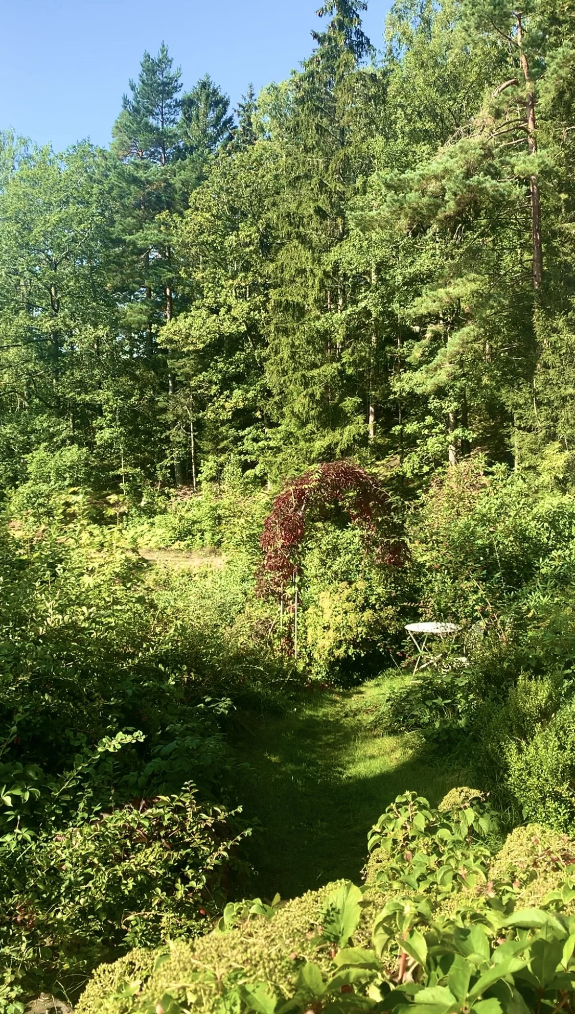 Garden view.