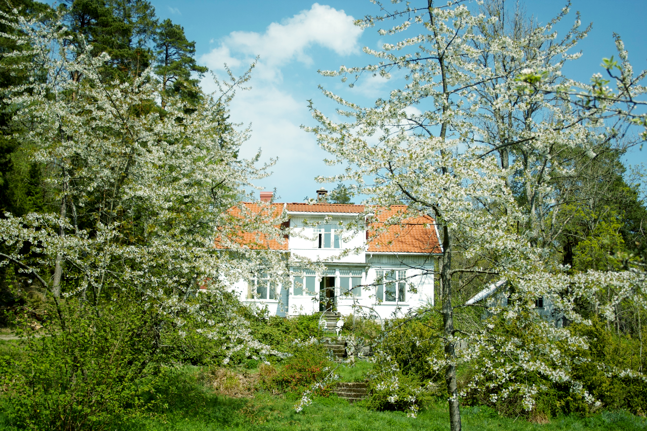 This is the main house. Residence for both visiting artist and permanent tenants.