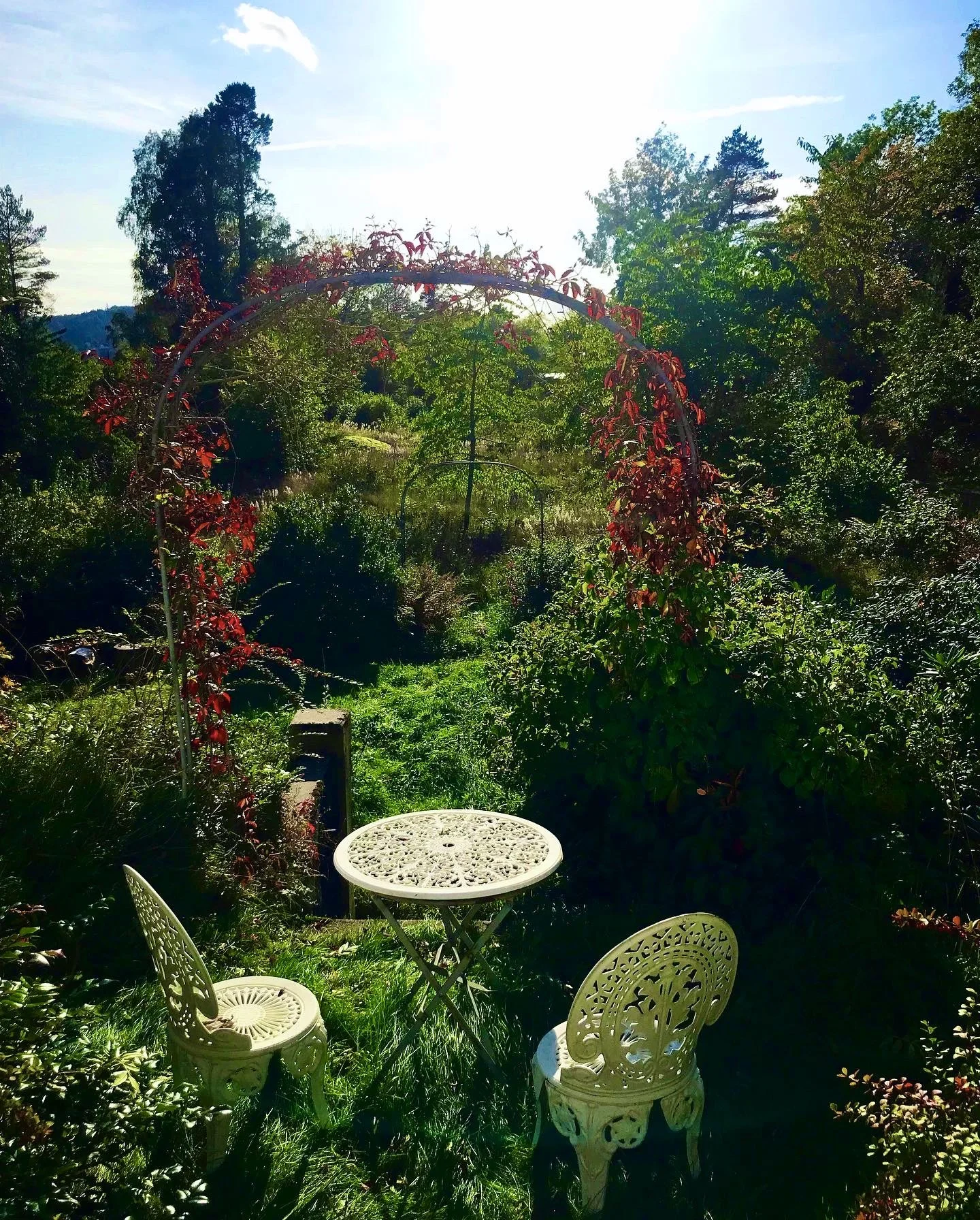 Garden.