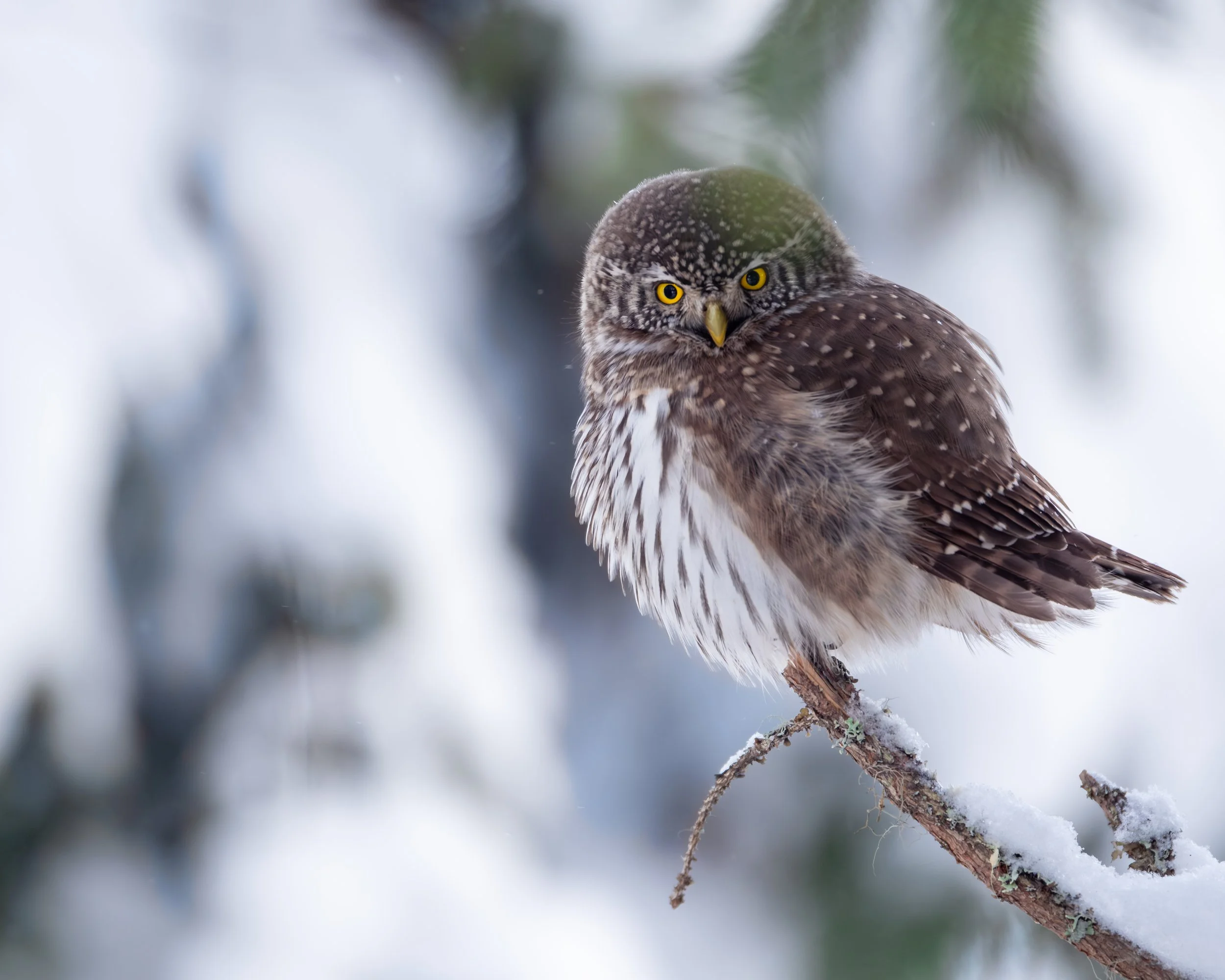 2026-02-06 13.39.38-1-2.jpg