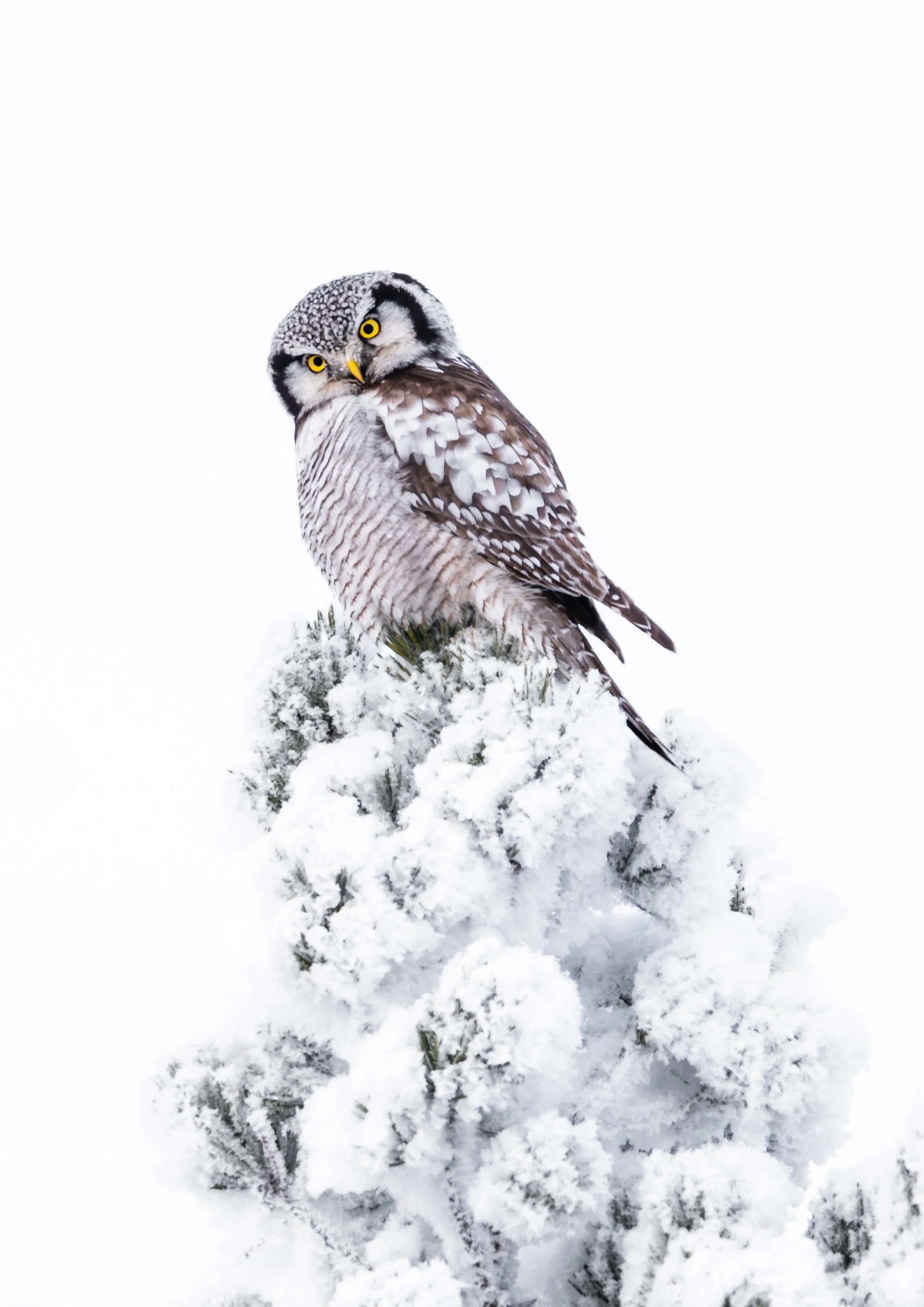 2026-02-09 14.31.28-2.jpg