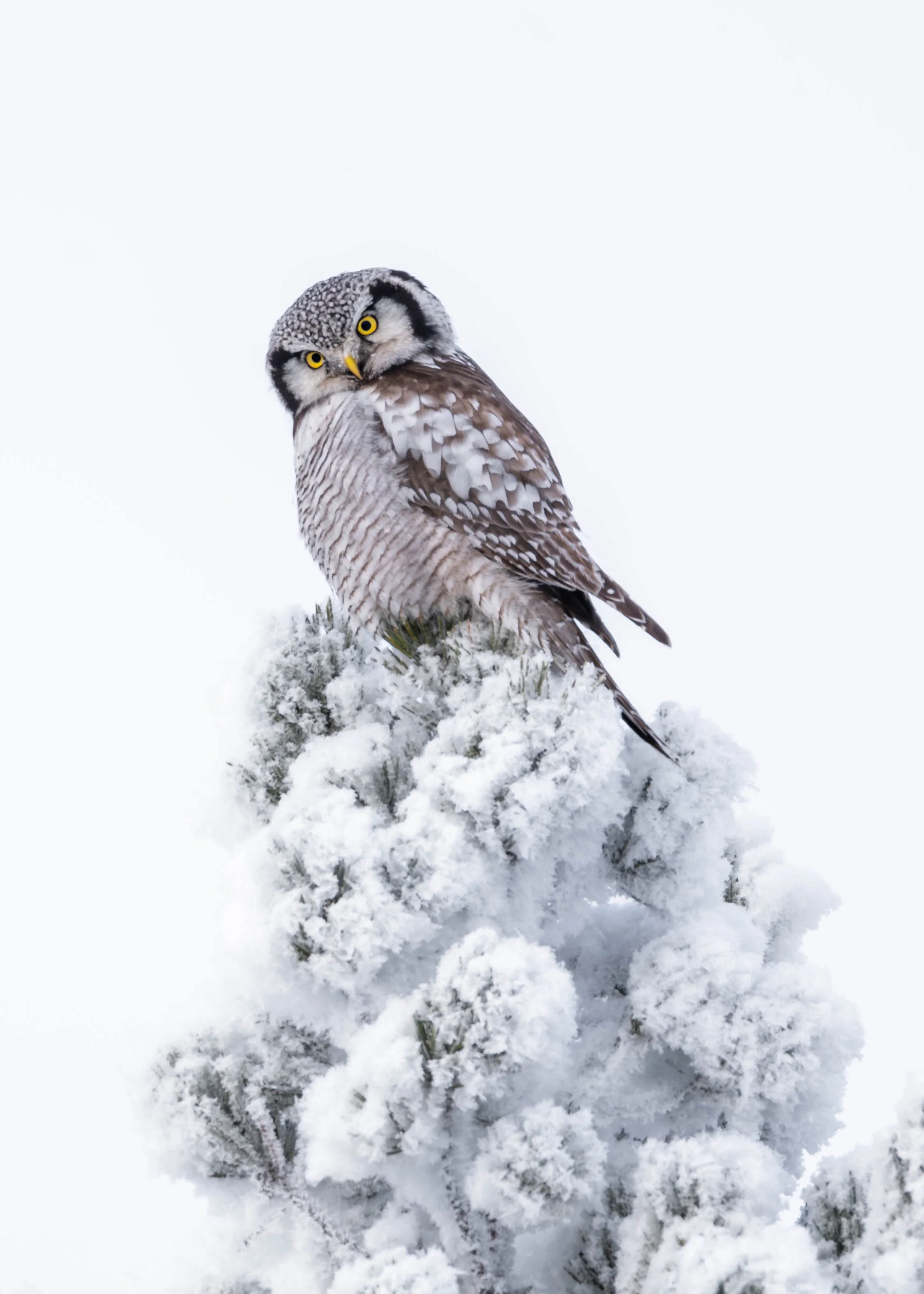 2026-02-09 14.31.28-2-3.jpg