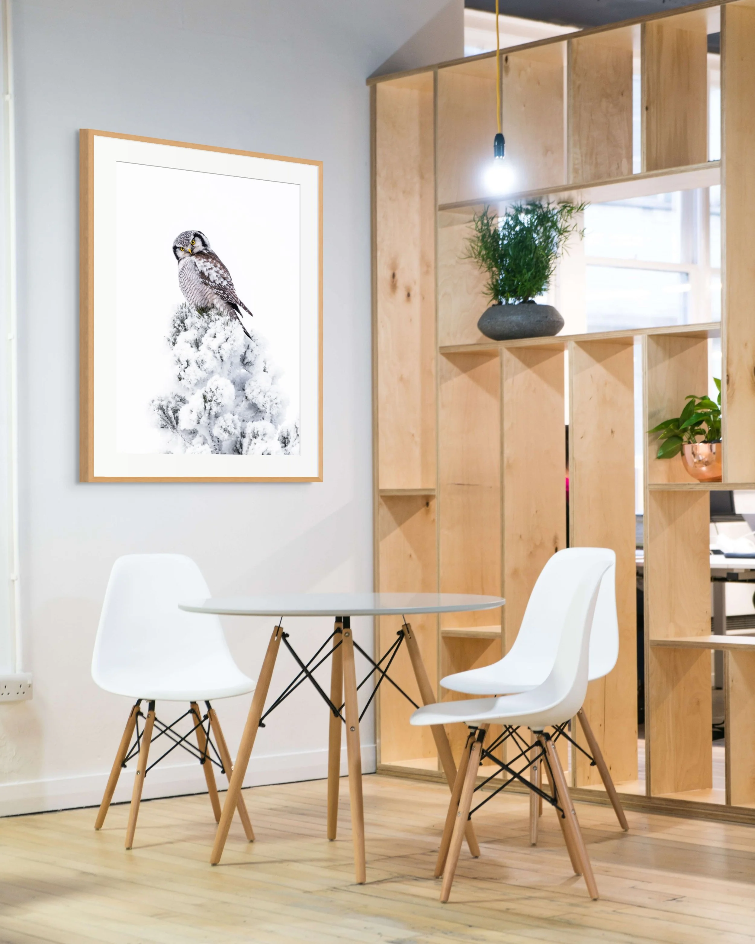 2026-02-09 14.31.28-2-full (1).jpg