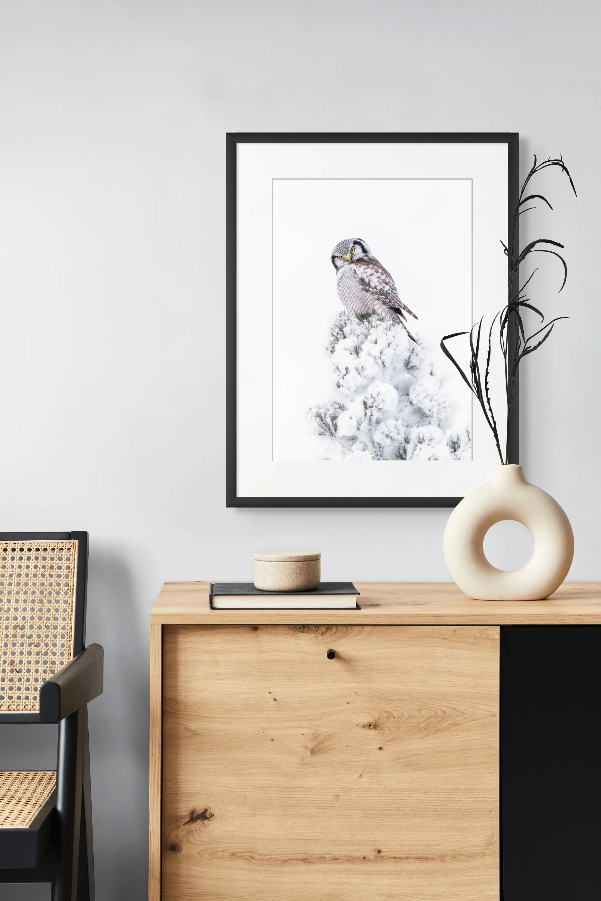 2026-02-09 14.31.28-2-full.jpg