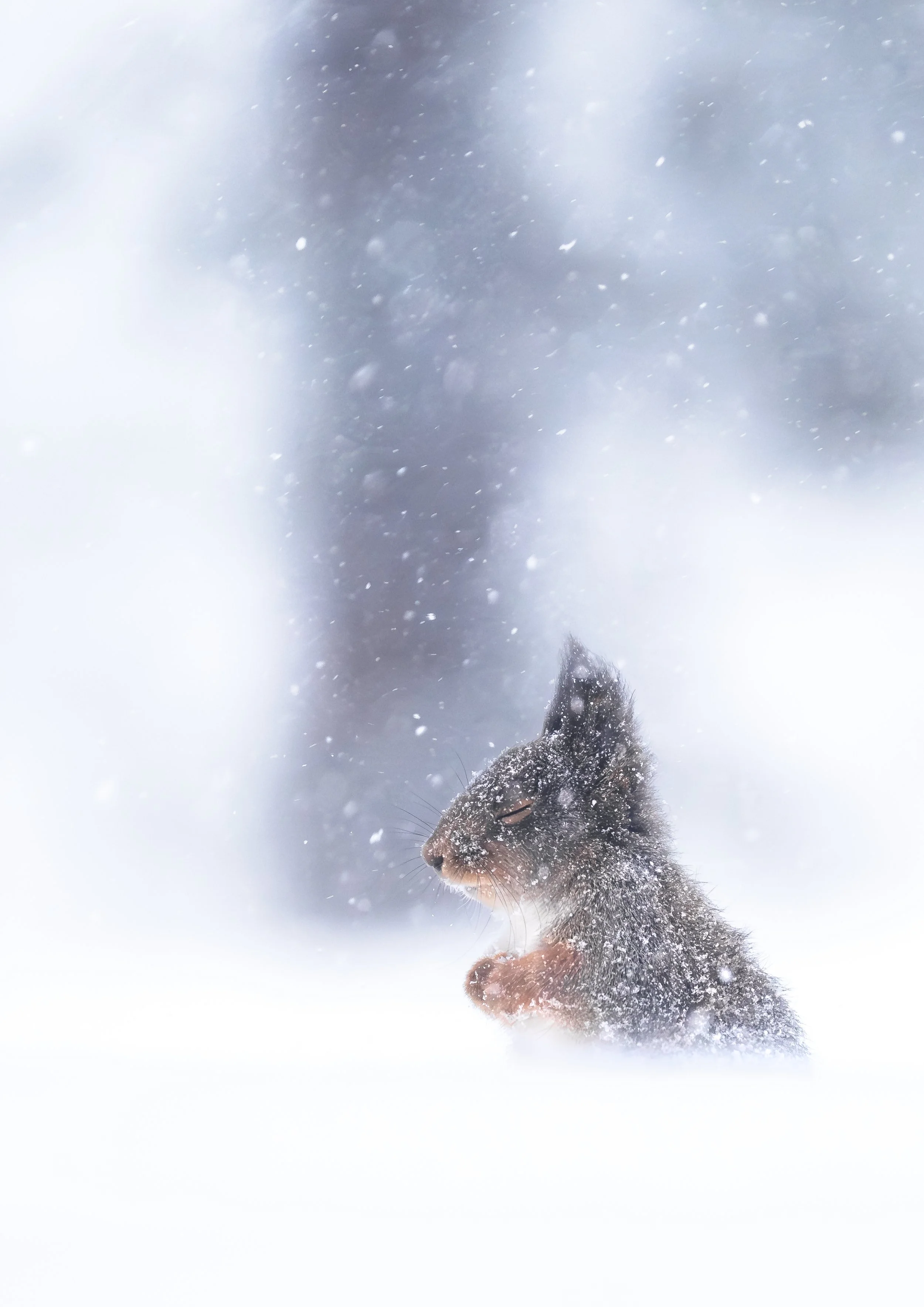 2024-02-02 13.36.16-1.jpg