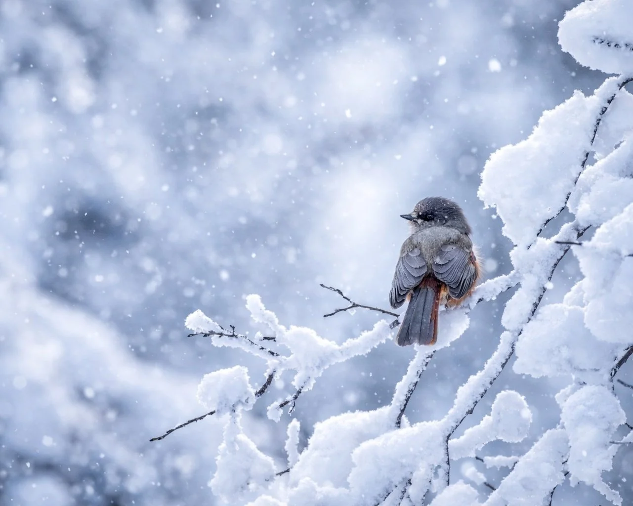 file_0000000030907243994102ee06cbc07f (1) (1).png