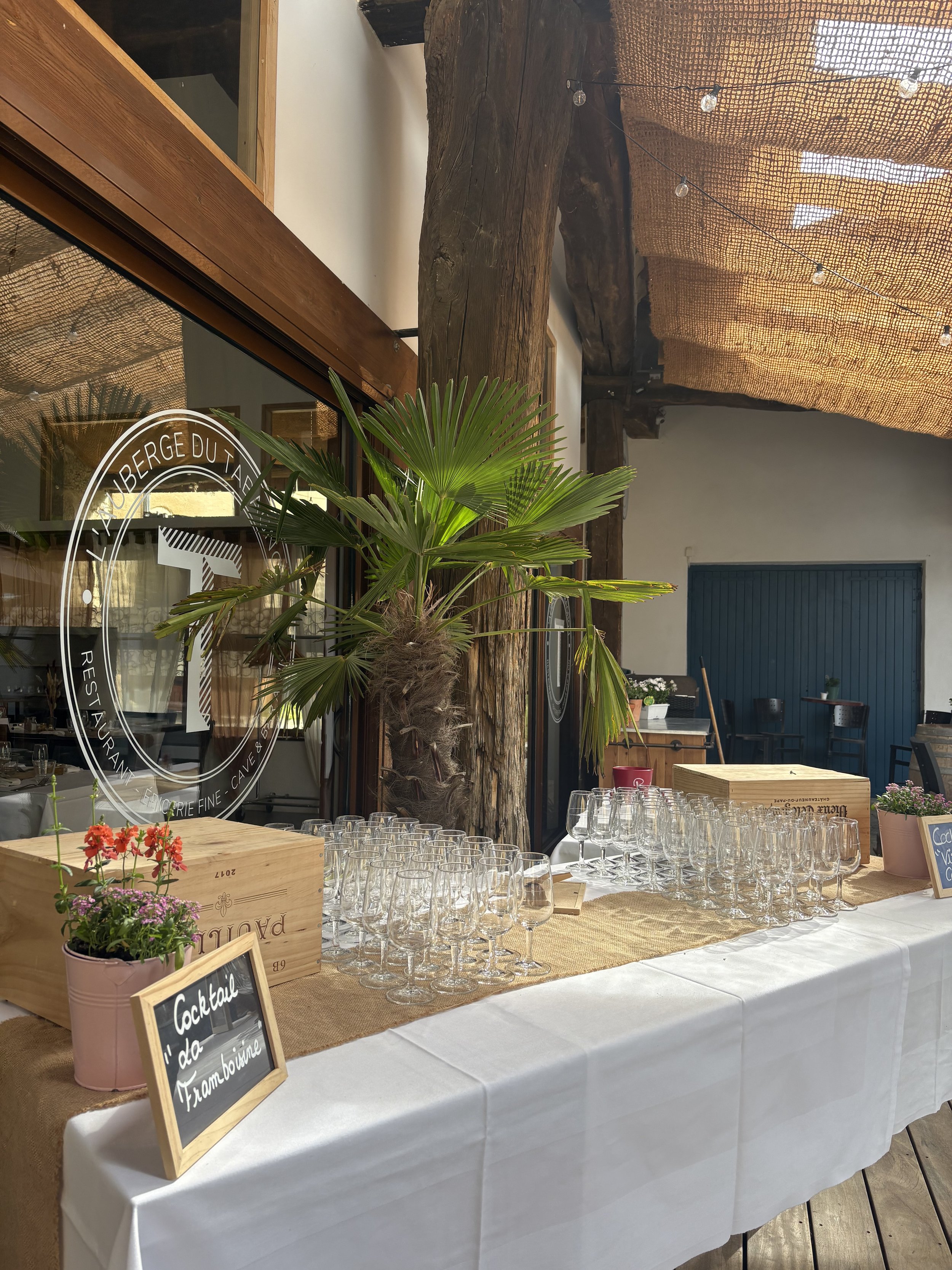 Table décorée pour un événement avec des verres à vin, des fleurs en pot rose, un panneau noir indiquant 'Cocktail ', et une grande plante palmier, réception de groupe, événement familial et convivial.