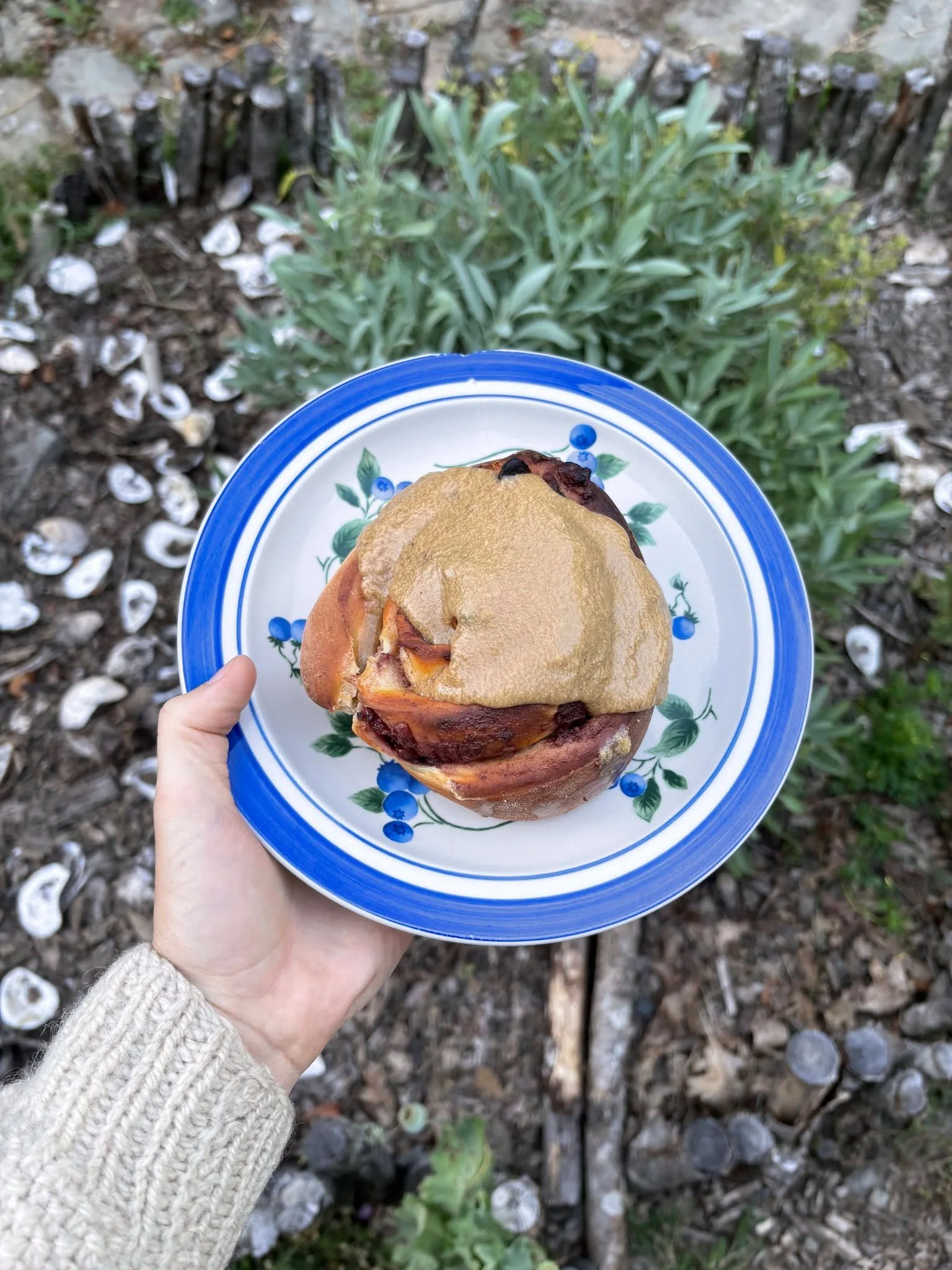 Seasonal buns with local cranberries 🍁