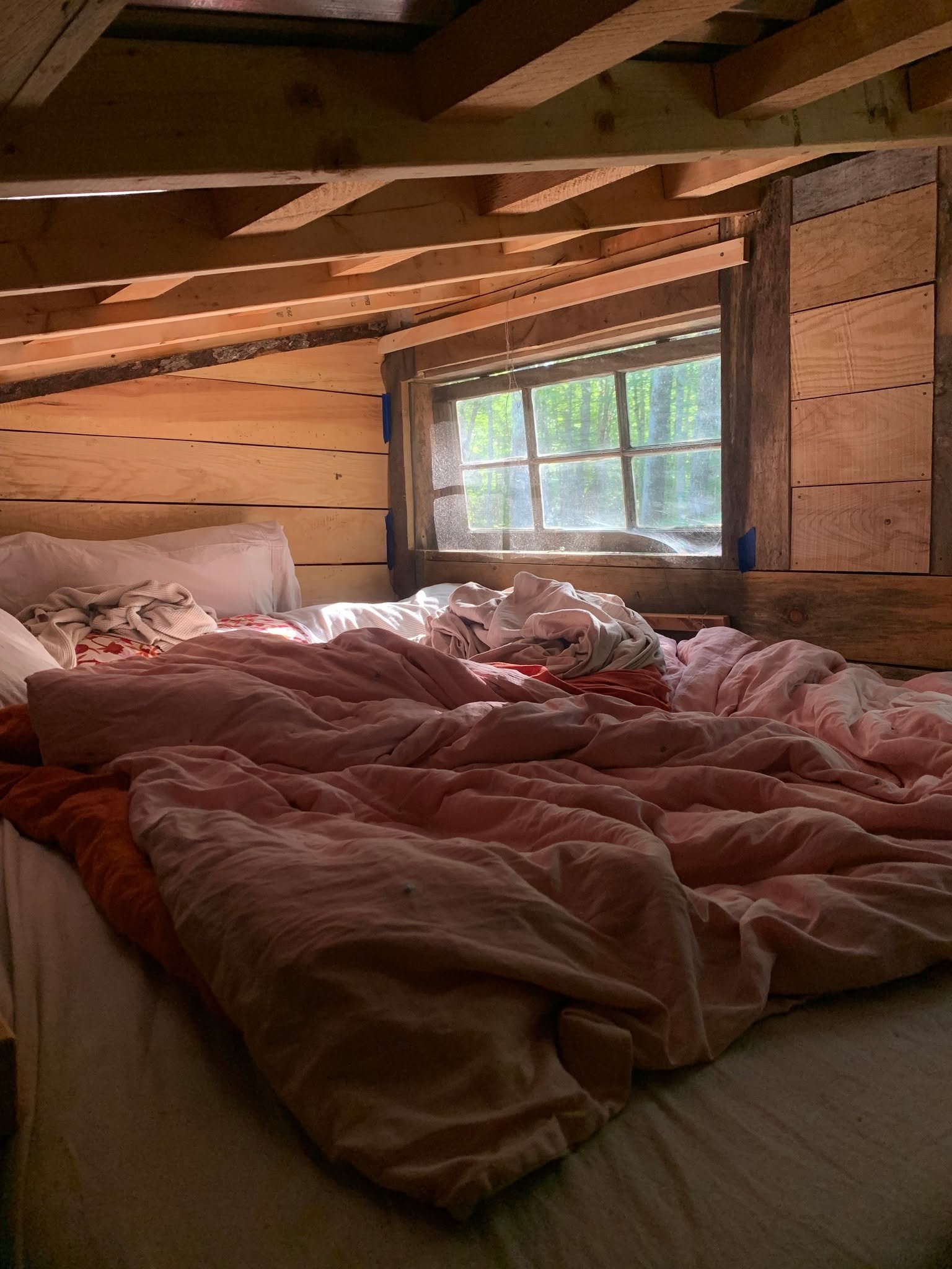 Our cutie pie cabin. Time to tuck her away for the winter. We will offer a work trade again next summer. Stay tuned in late winter/spring. ✨