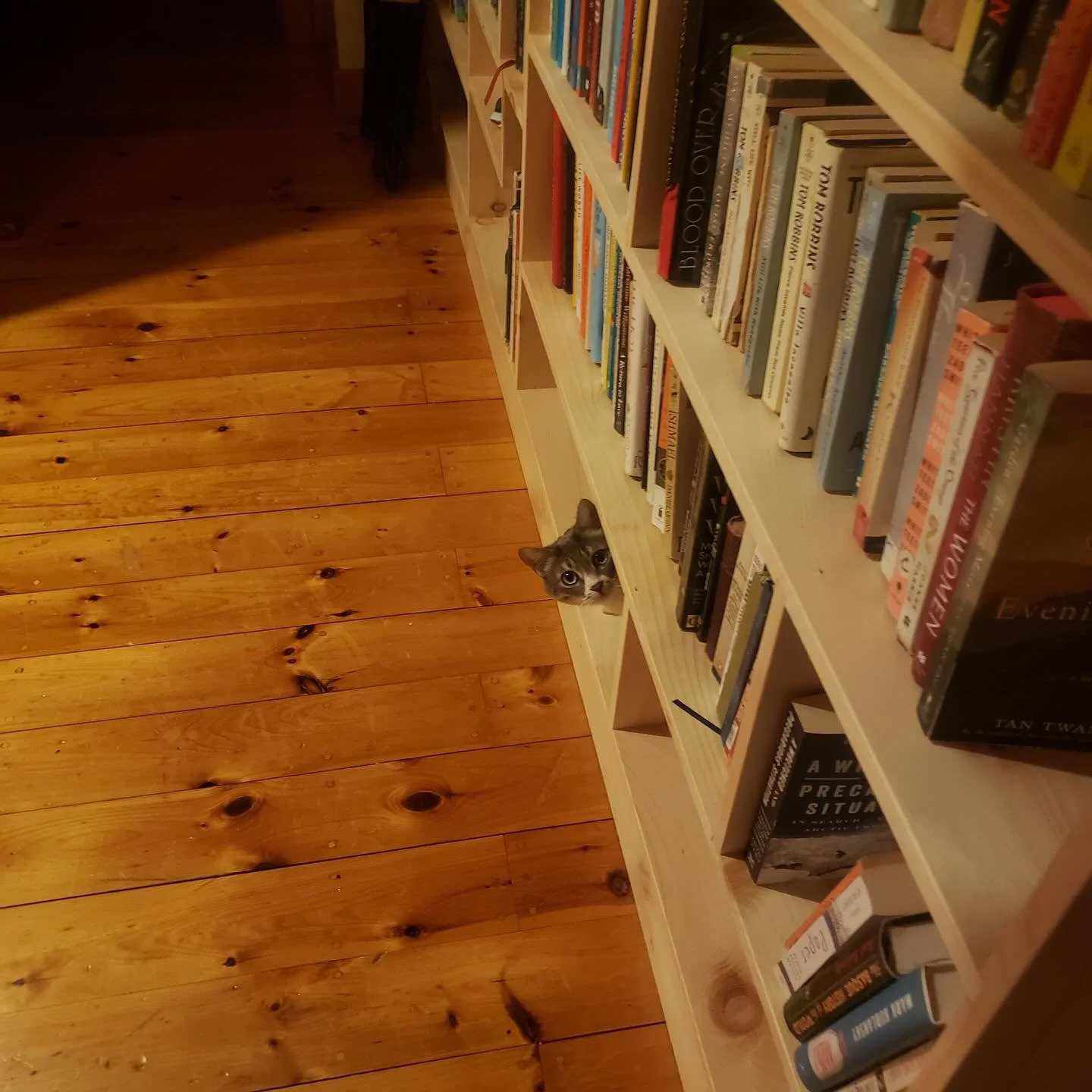 I take enjoyment in completing a project but have an extra sense of connection whe I get to return back to the customers home to see the piece already being well loved and enjoyed by all. @robbinslumberdistribution