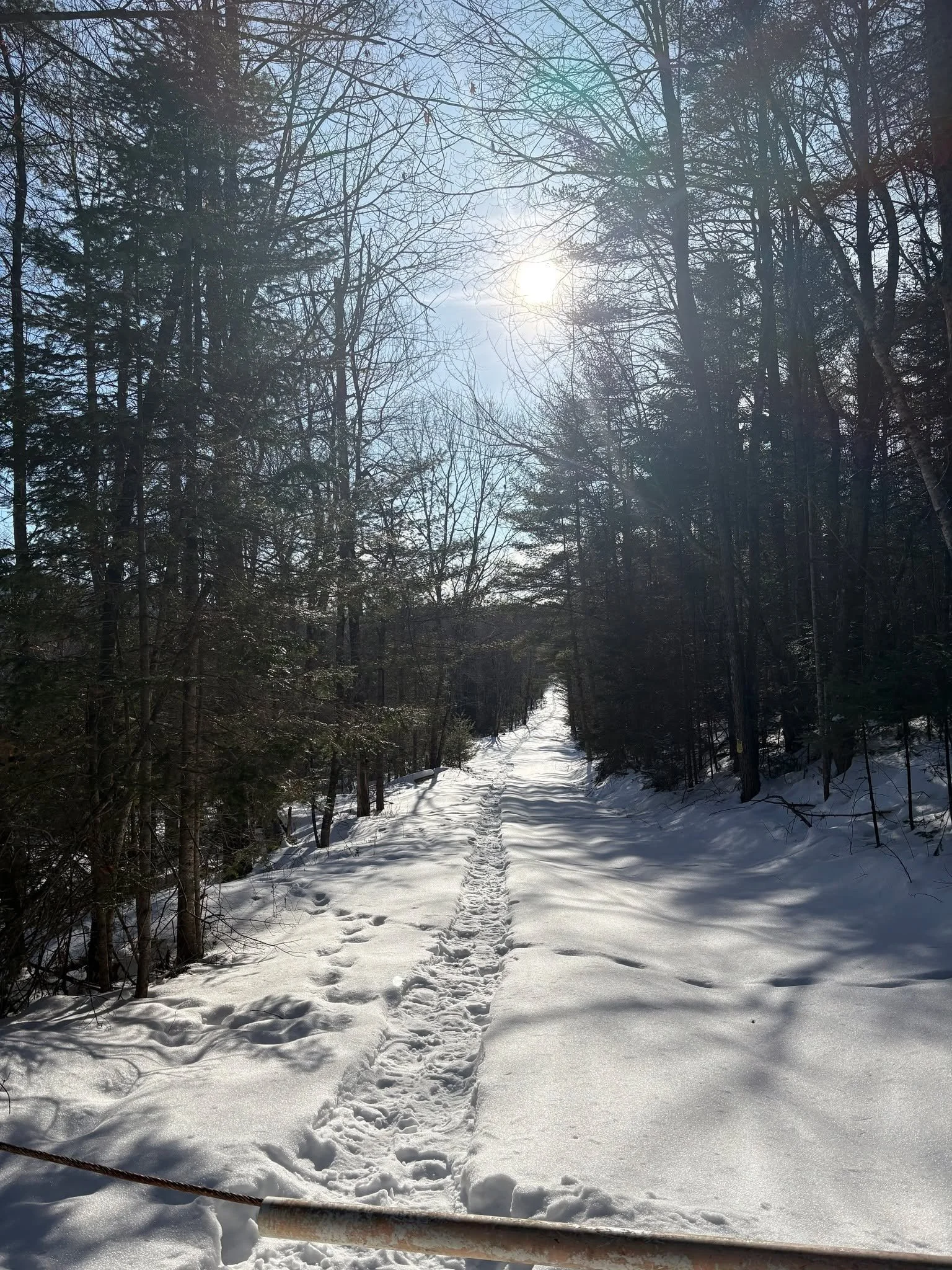 I was journeying down our dirt road into the logging yard. ❄ And was able to follow someone's sweet snowshoe trail. With the occasional animal track crossing too.
