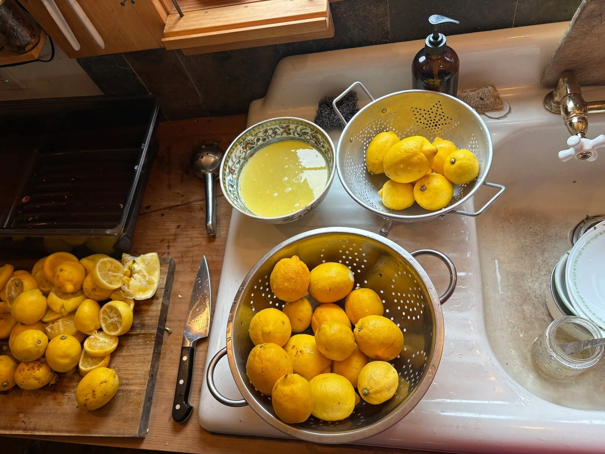 Yellows! Pinks! A return to fresh squeezed lemonade and flower picking! The land is waking back up and so are we.
