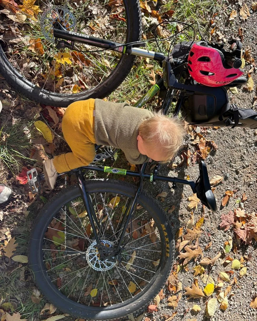 Fall fun today 🍂📚🚲