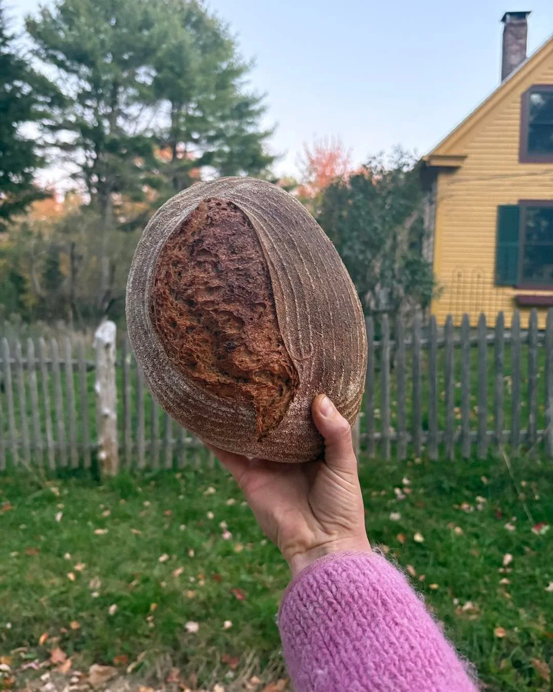 Bread bread bread photoshoot 

Did you know we have a cute little farmstand that features bread???

Daniel mills a portion of the flour himself. All maine grains. We also have sourdough cookies and crackers. And eggs when the chickens are laying. 

T