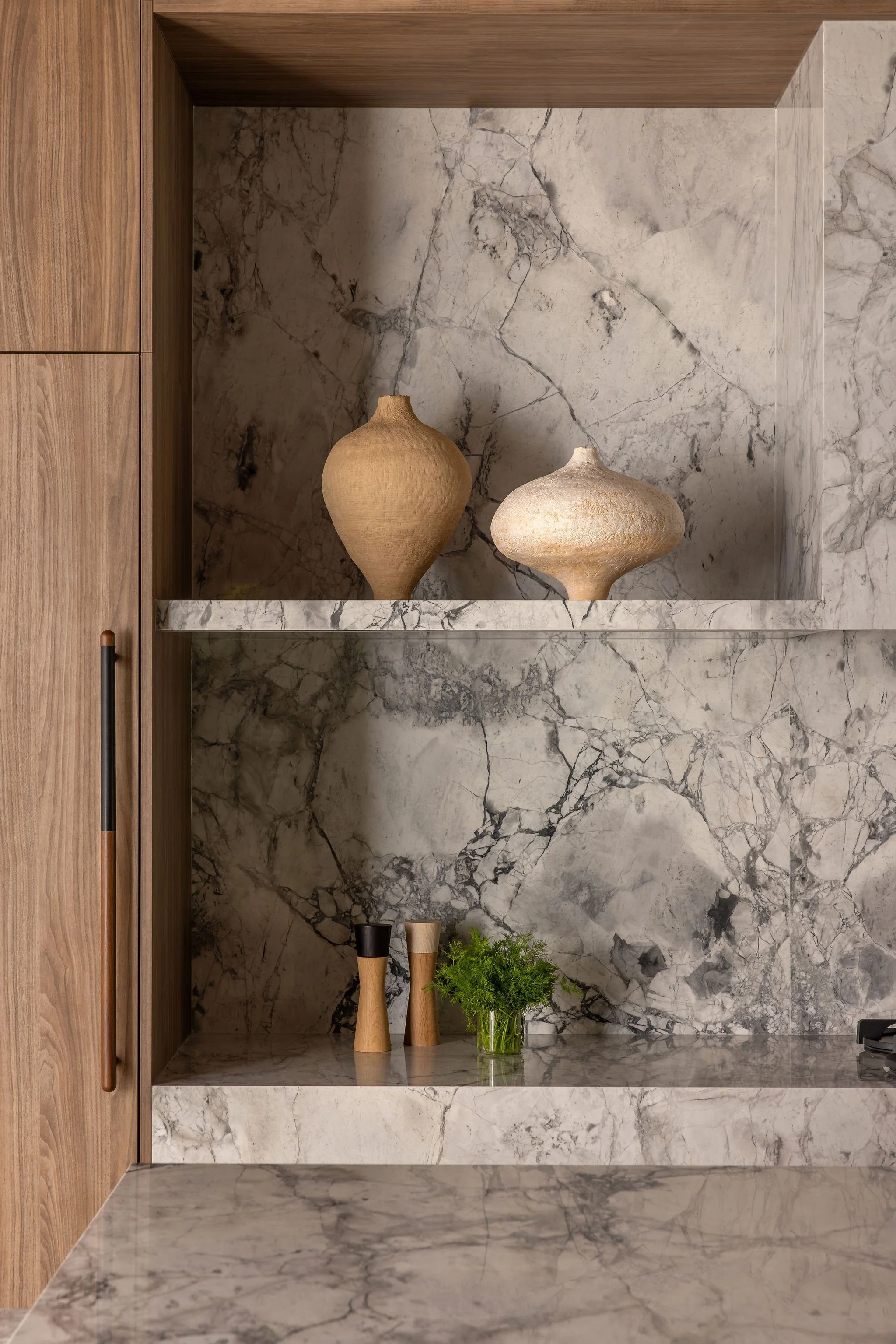 Close up of modern kitchen splash with stone shelf and cabinet paneled appliance