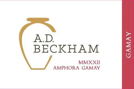 Amphora Gamay 2023