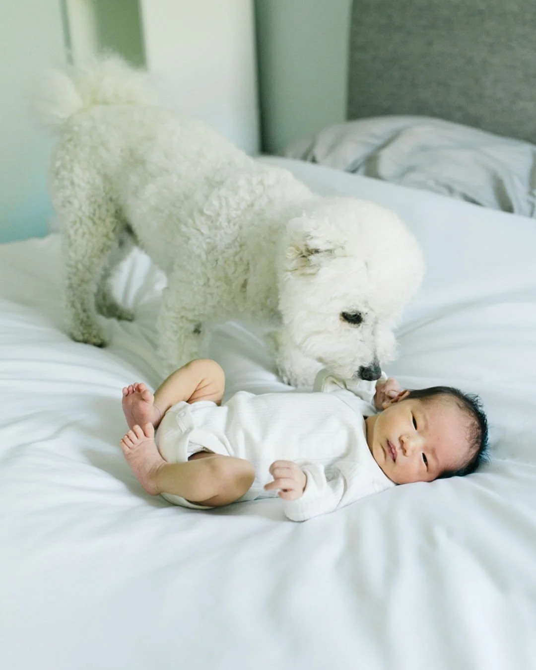 For so many of my first-time parents, the &ldquo;first baby&rdquo; was actually furry. 🐾
I love when families include their pets in newborn photos - they&rsquo;re part of the story, too.

This session was peaceful, cozy, and full of love. A perfect 