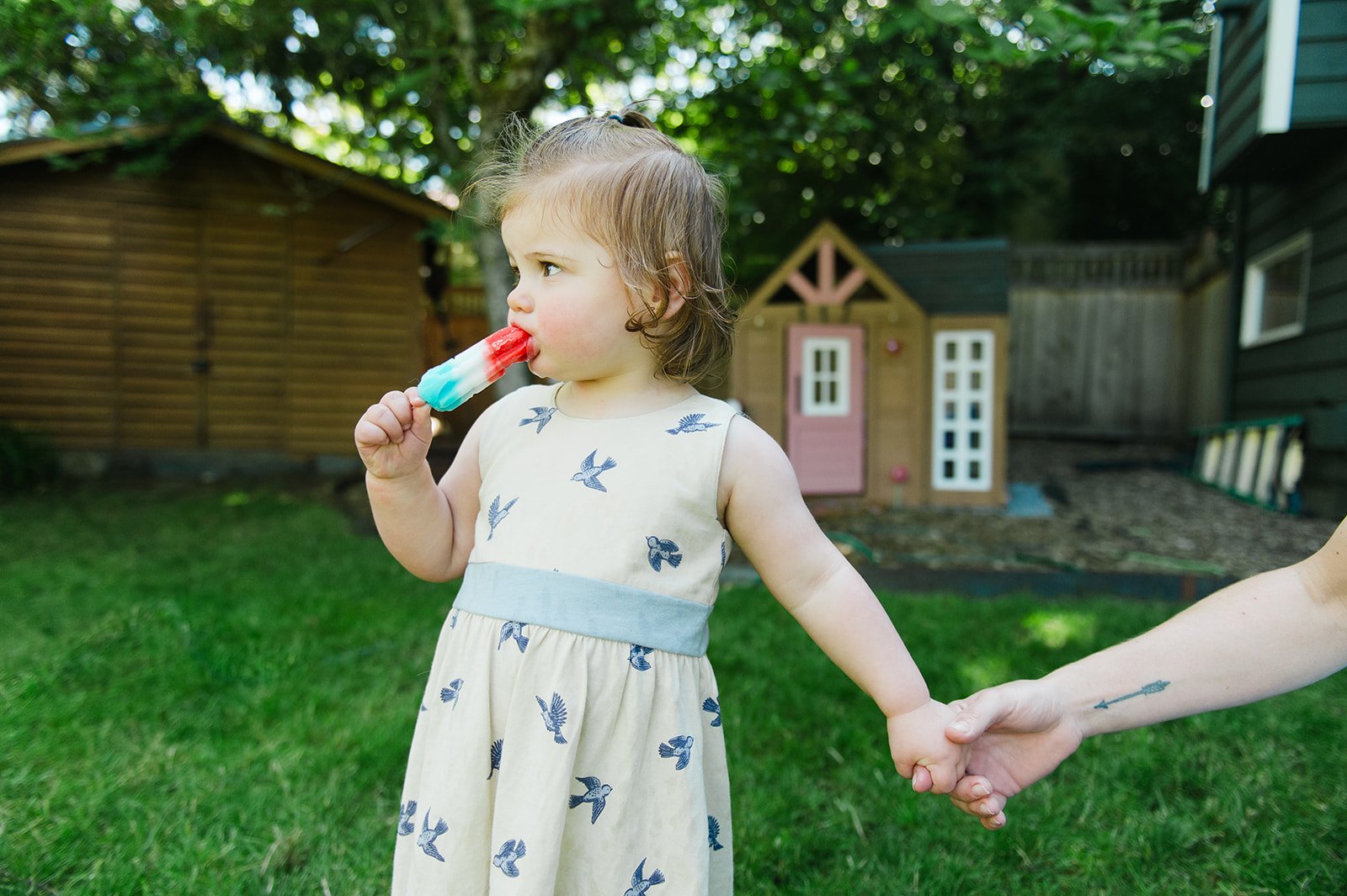 3 at-home-family-session-backyard.jpg
